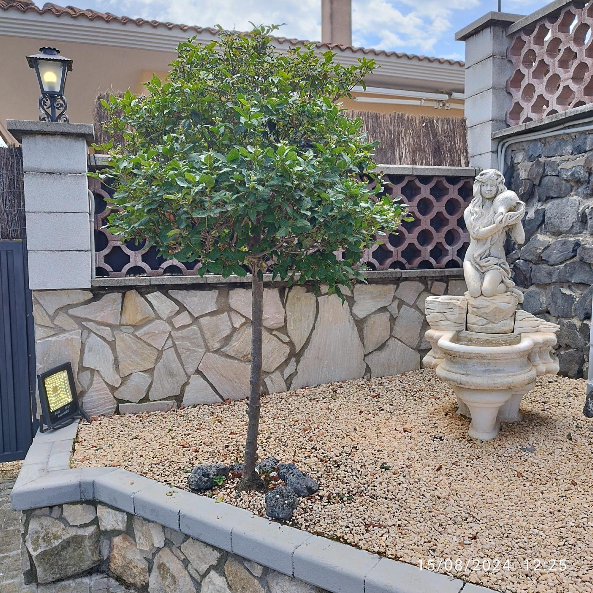 La Biznaga Villa Fogas de Tordera Exterior photo